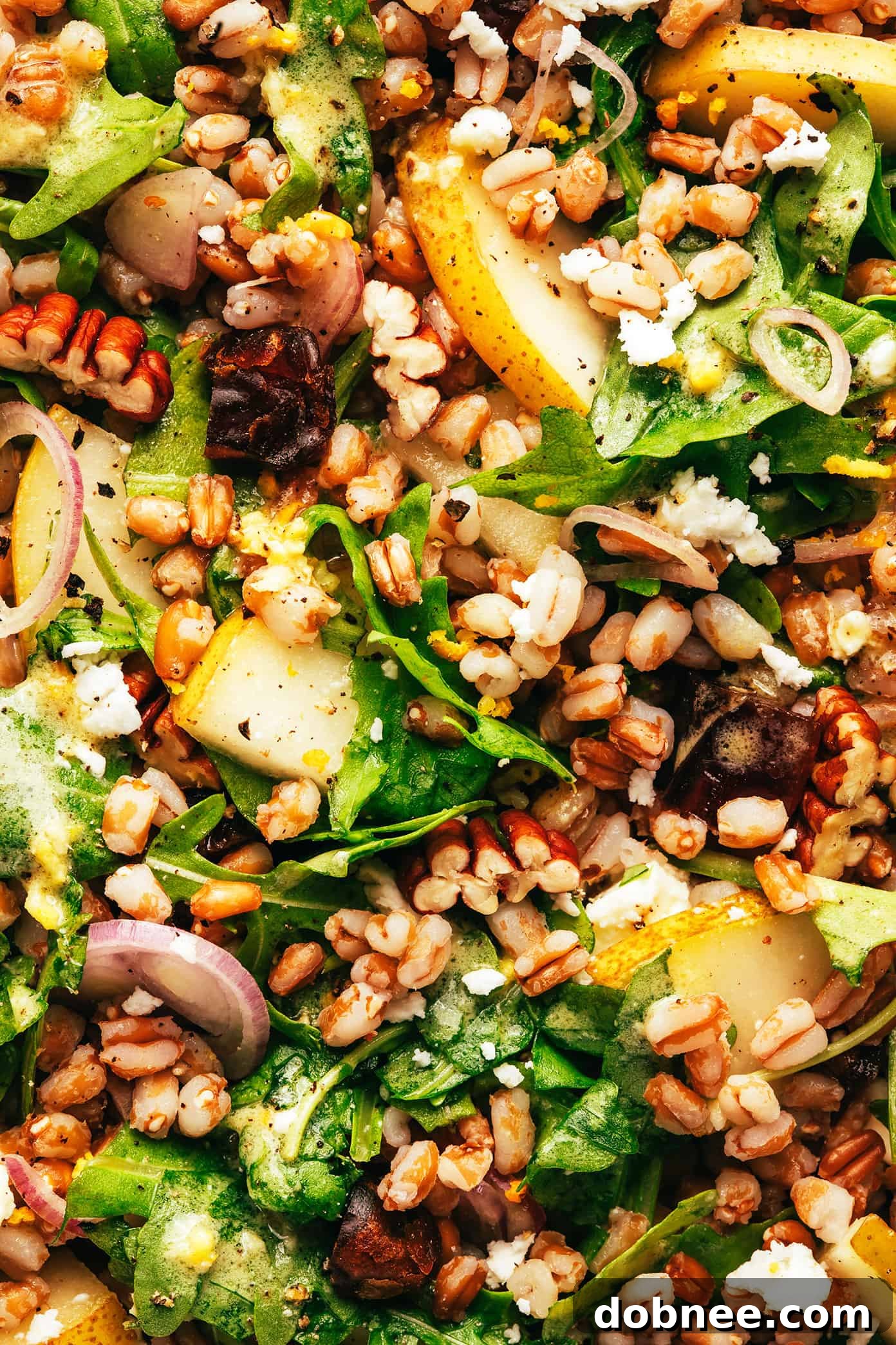 Another view of Winter Farro Salad