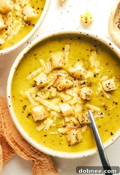 Lightened-Up Broccoli Cheese Soup