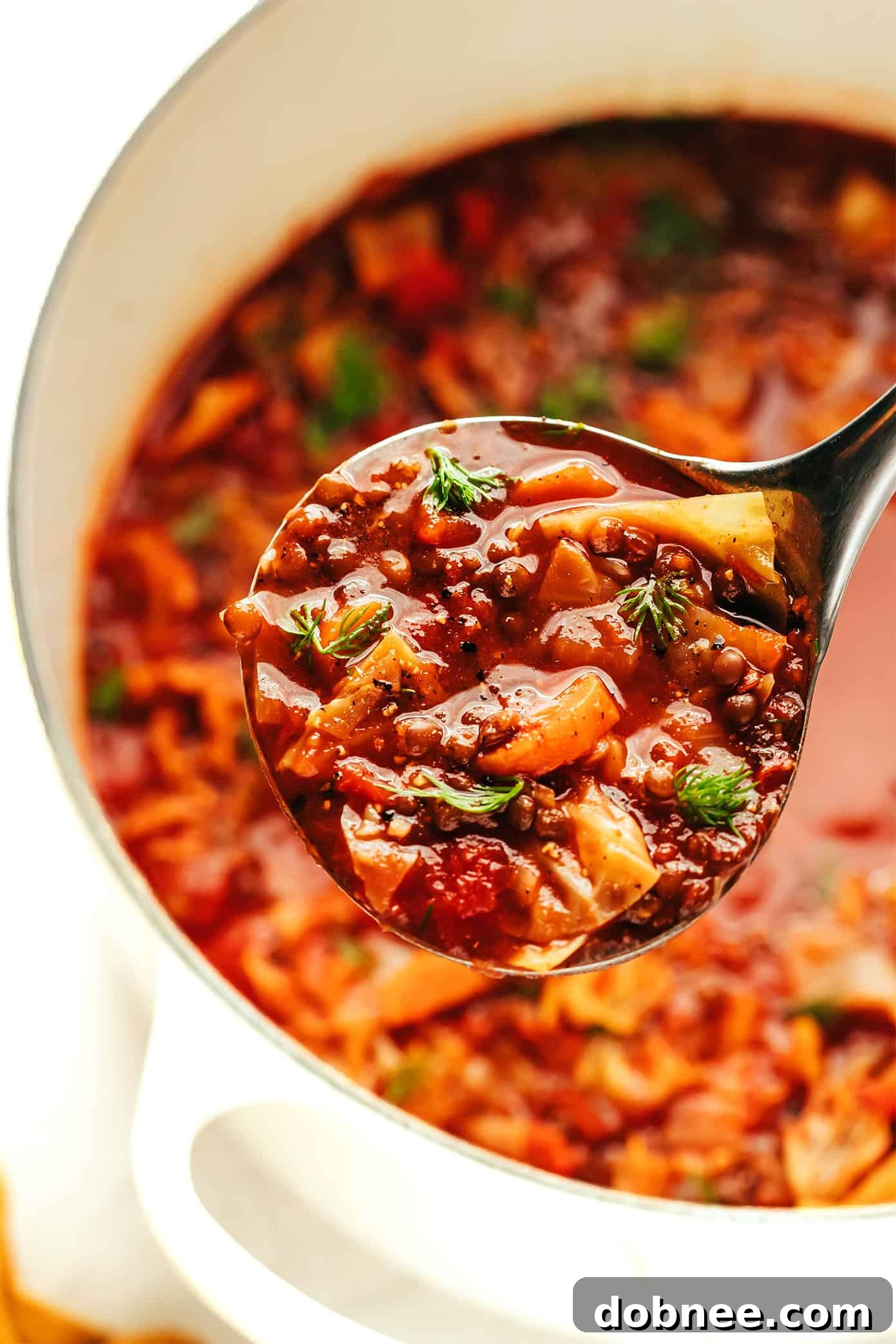 A steaming bowl of Vegetarian Cabbage Roll Soup garnished with fresh dill.