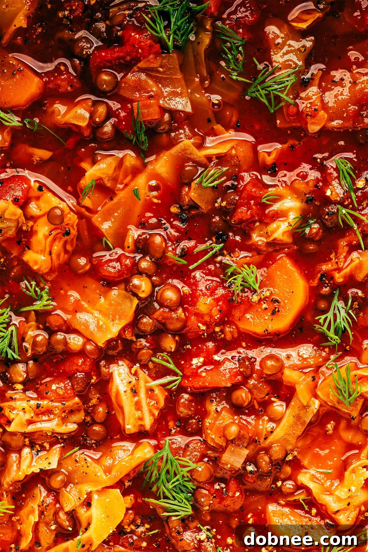 Overhead shot of two bowls of Vegetarian Cabbage Roll Soup, garnished and ready to eat.