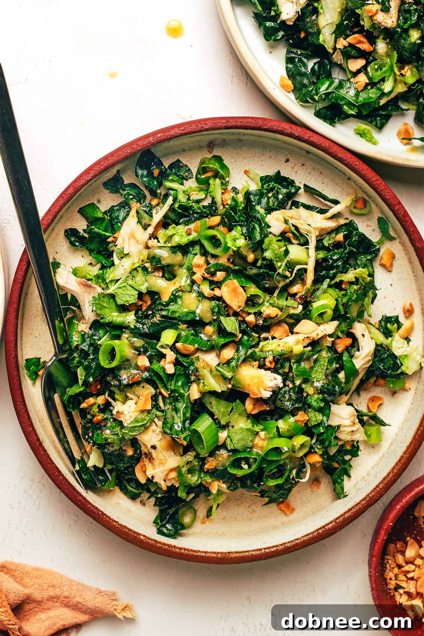 Close-up of the Kale Peanut Chicken Salad, highlighting the vibrant colors and fresh herbs
