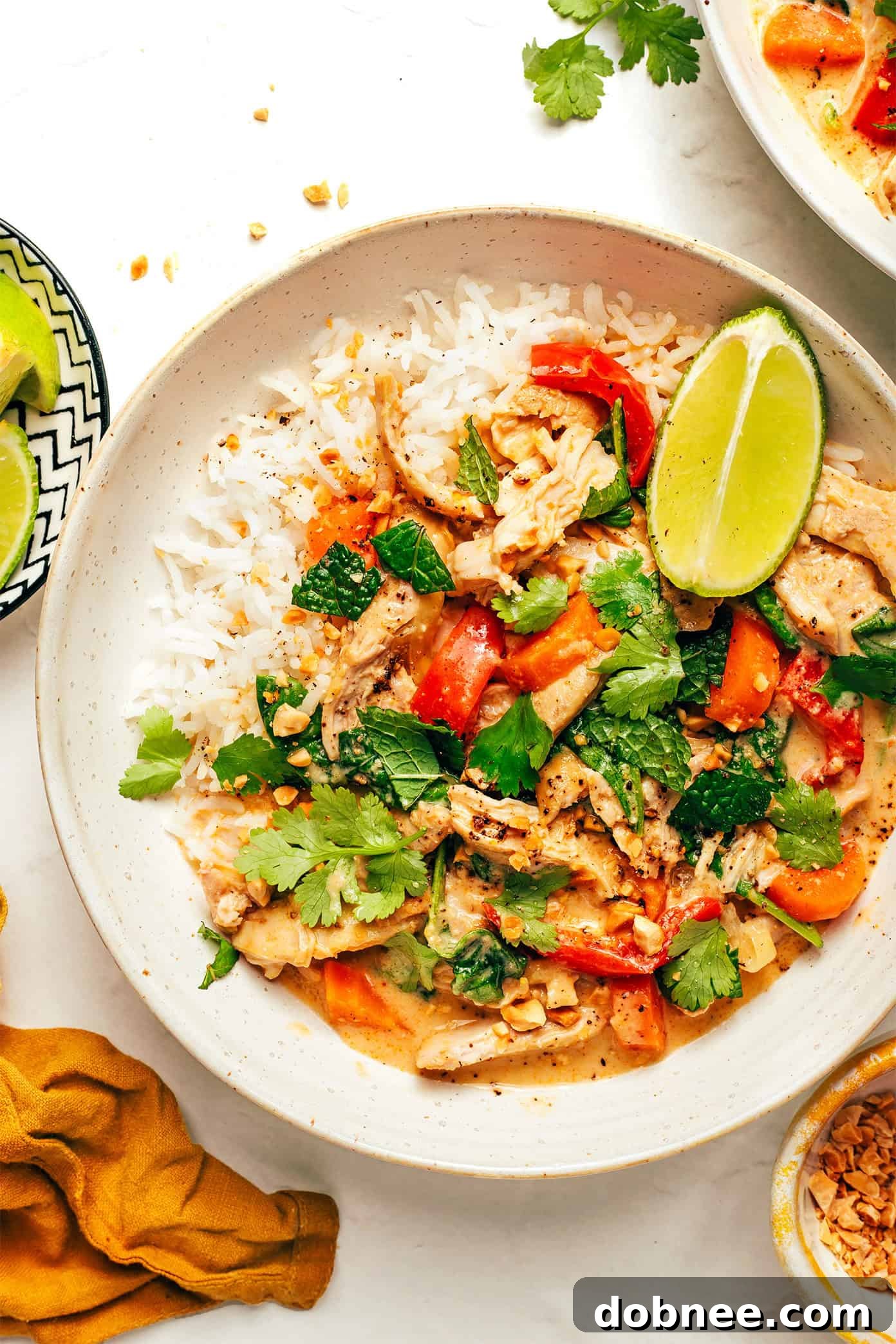 Slow Cooker Chicken Satay in a Crock-Pot