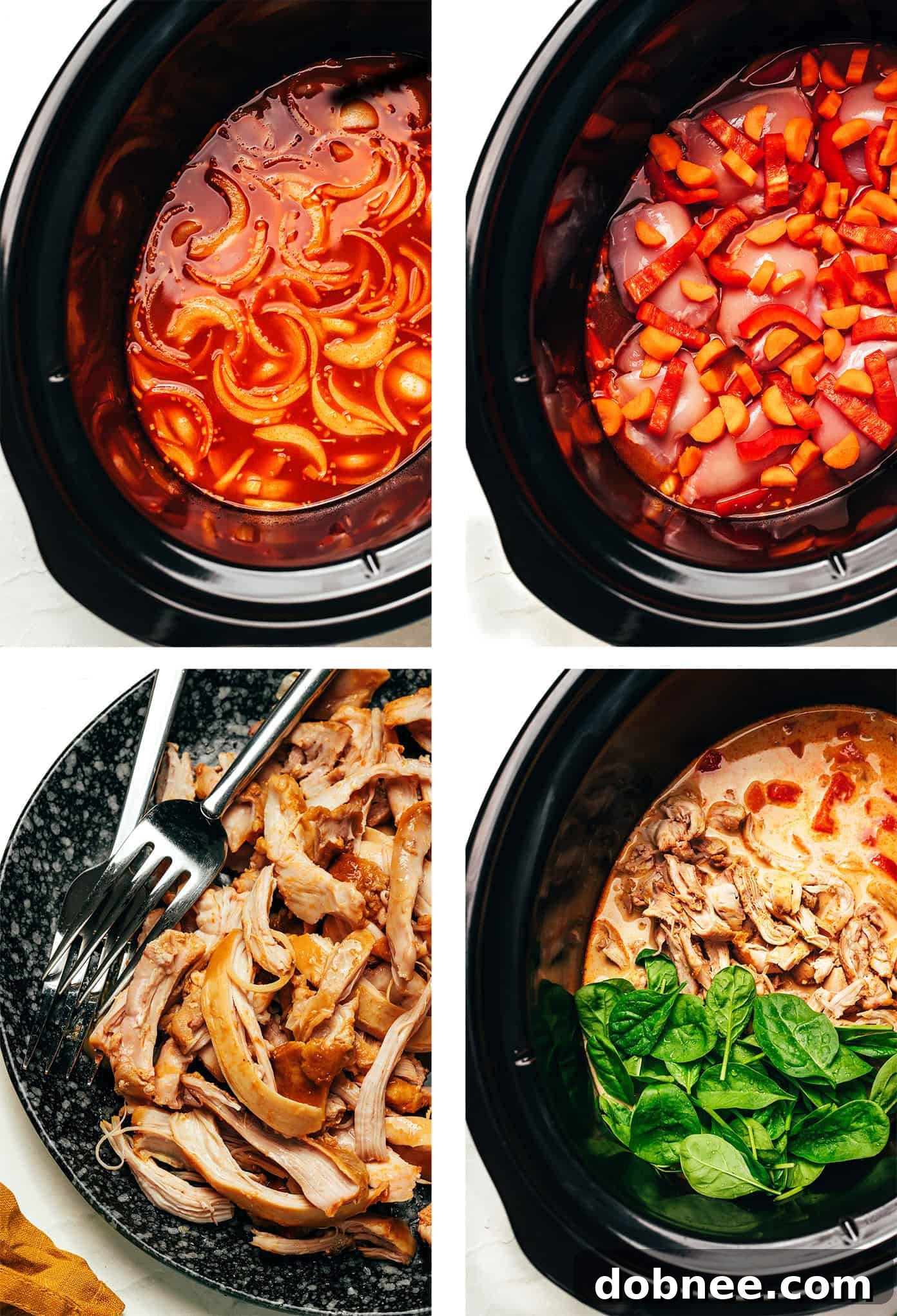 Shredded Chicken Satay with Sauce