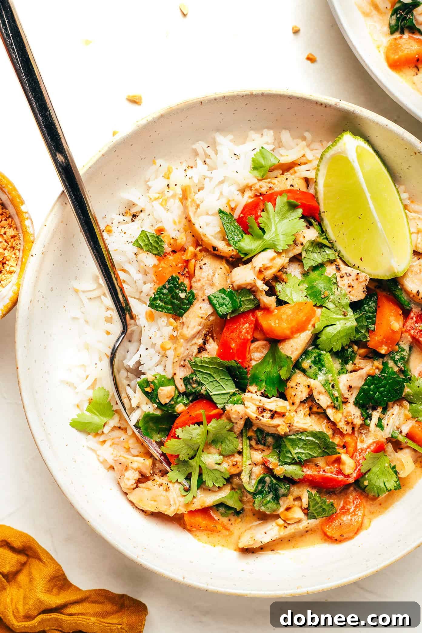 Bowls of Slow Cooker Chicken Satay