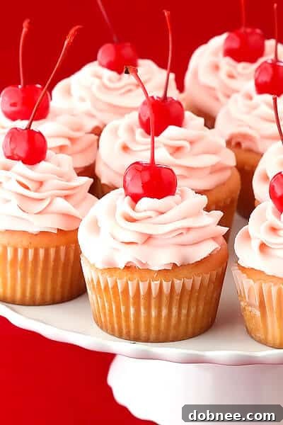 Close-up of a single, perfectly frosted Cherry Vanilla Cupcake with a cherry on top, presented beautifully