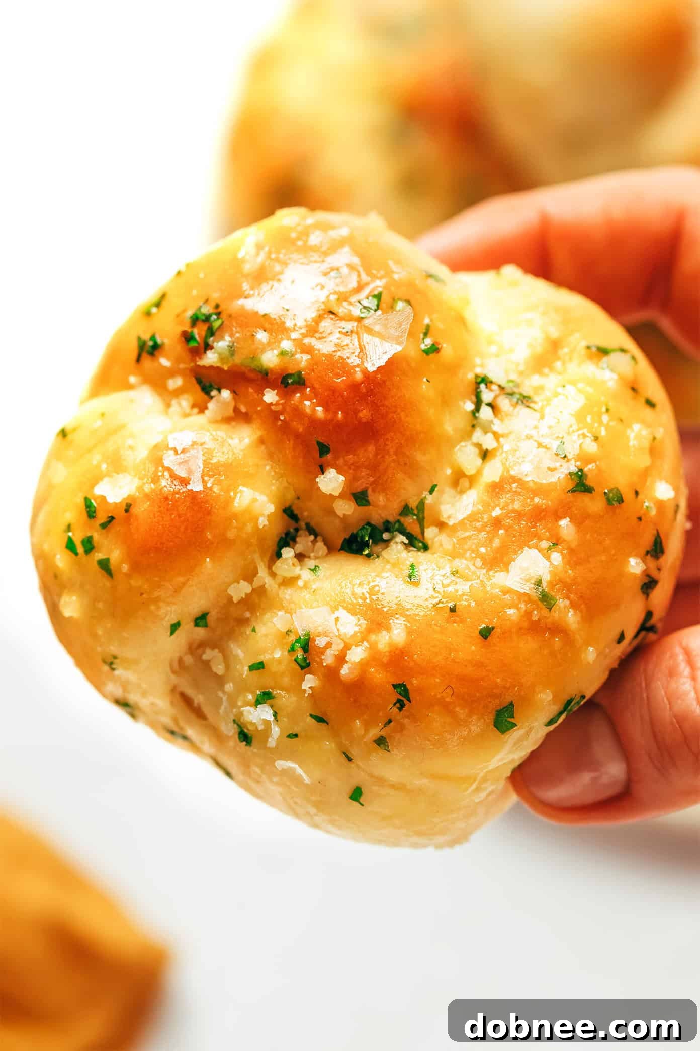 A close-up shot of several garlic knots, golden brown and perfectly knotted, showcasing their inviting texture.