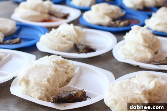 Zambian Food: Fish Heads A traditional Zambian meal featuring fish heads, shima, and tomato soup, offering a glimpse into local cuisine.