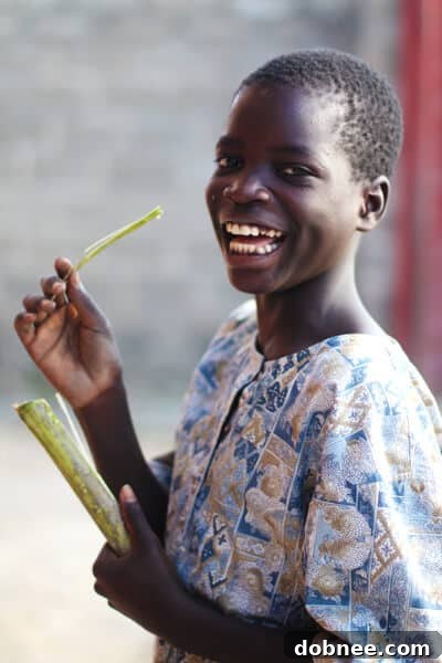 Children Enjoying Sugar Cane Children at the orphanage happily enjoying sticks of sugar cane, a popular sweet treat in Zambia.