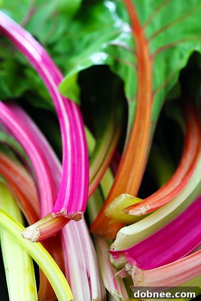 Close-up of vibrant rainbow chard leaves, showcasing their colorful stems and fresh texture.