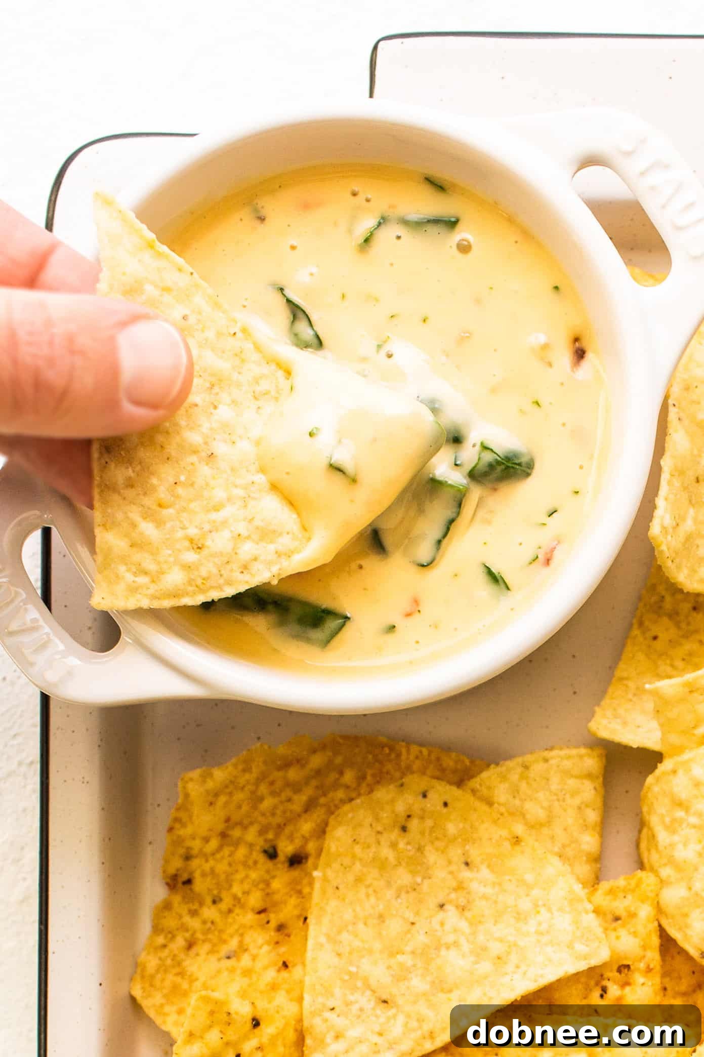A vibrant bowl of Queso Blanco, garnished with fresh cilantro and surrounded by tortilla chips, set against a rustic background, highlighting its creamy texture and inviting appeal.