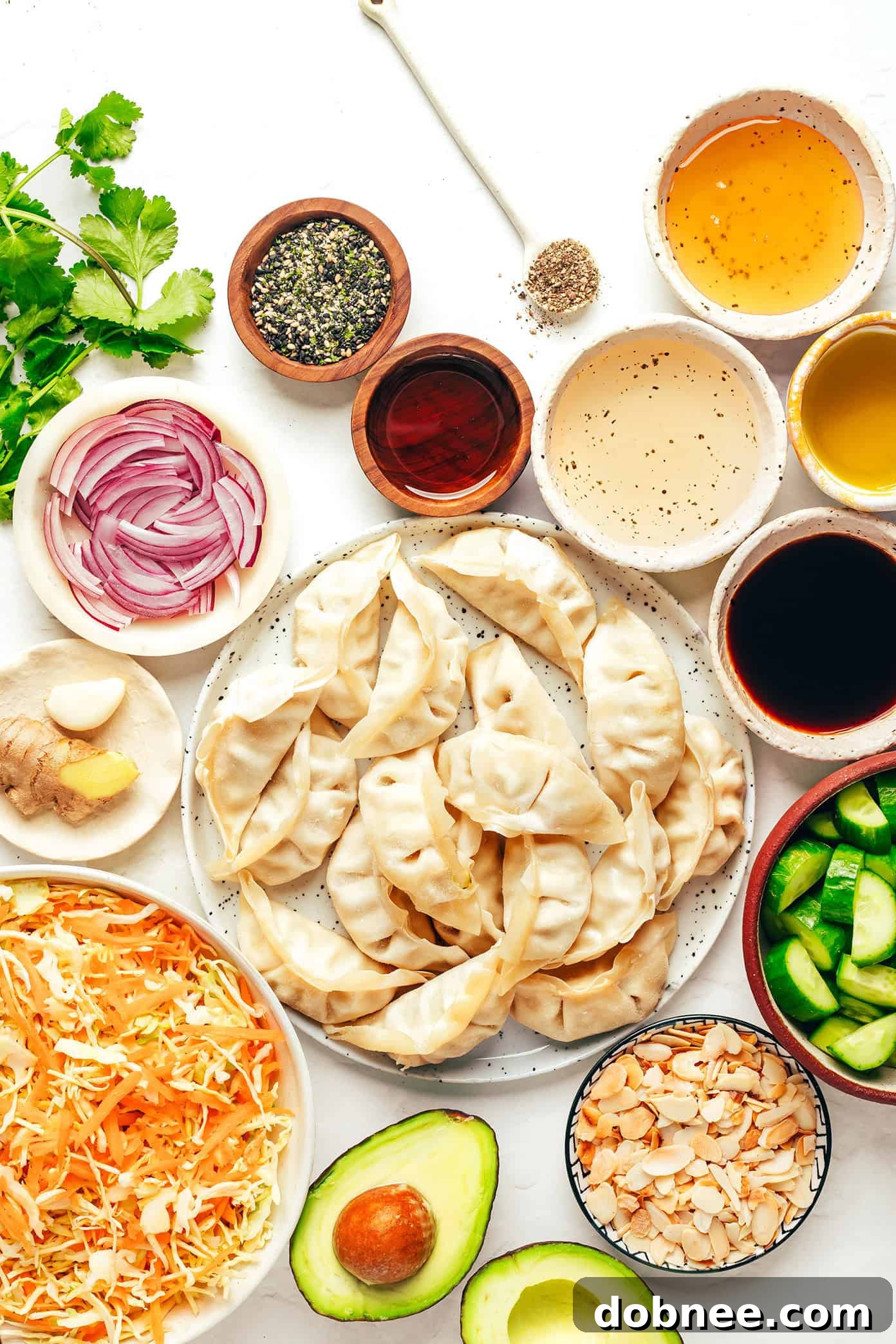 Close-up of the Potsticker Salad, highlighting the pan-seared gyoza and fresh cilantro garnish.