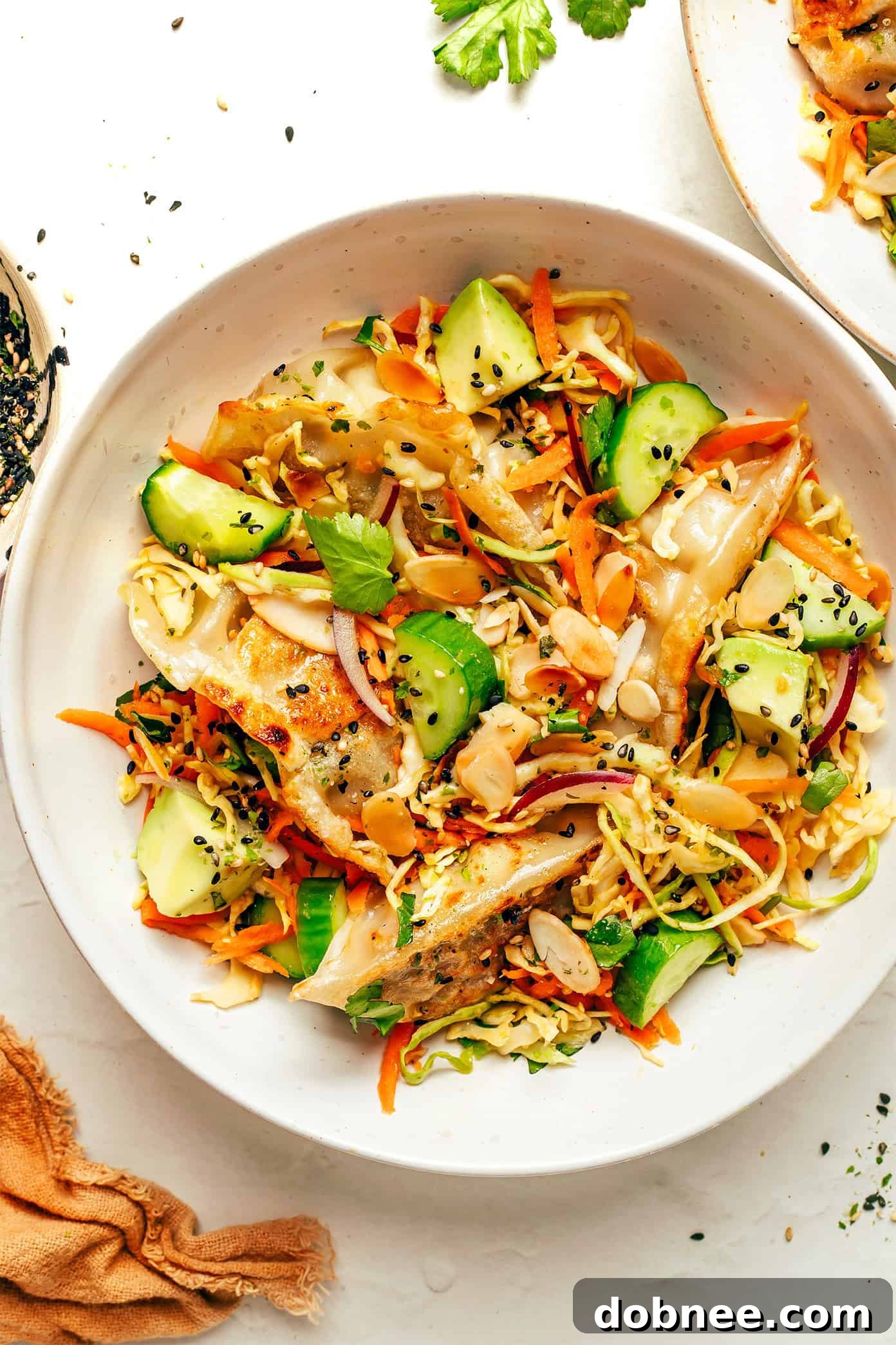 Potsticker Salad served in individual portions, ready to be enjoyed as a light meal.
