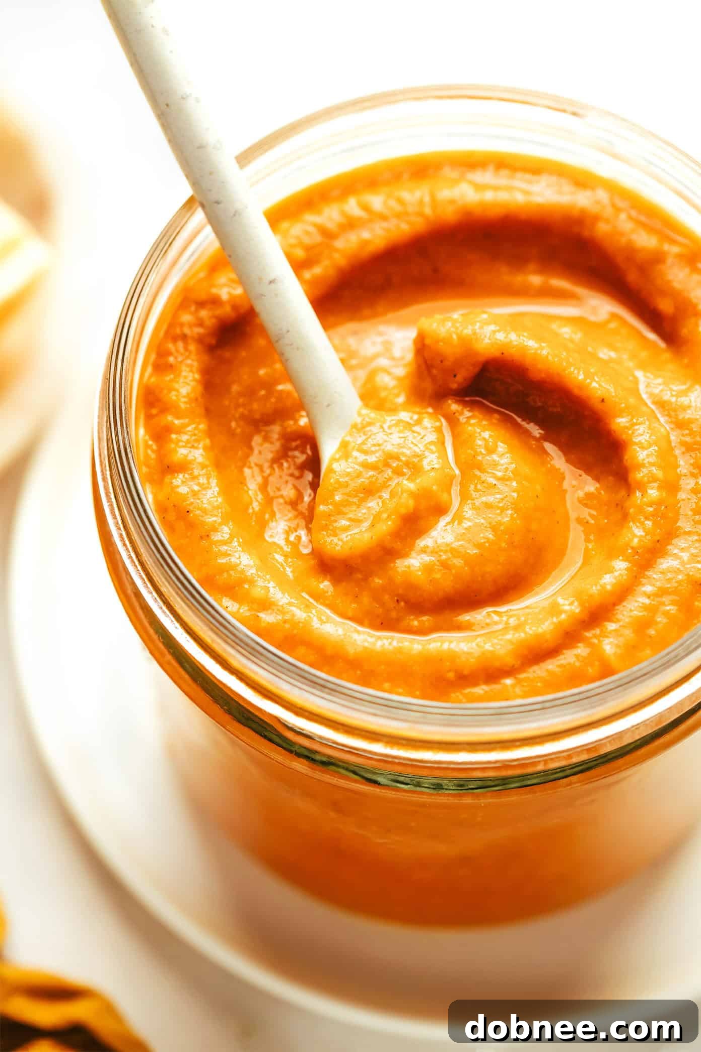 Delicious Hidden Veggie Marinara Sauce served with pasta