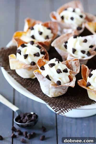 A close-up of a single Cannoli Cup, showing its creamy filling and chocolate chip garnish.