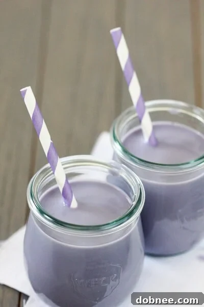 Two glasses of homemade blueberry milk, garnished with fresh blueberries, emphasizing its natural and wholesome appeal.
