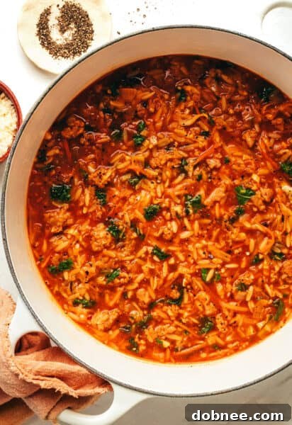 Cabbage Sausage Orzo Soup with Parmesan and lemon