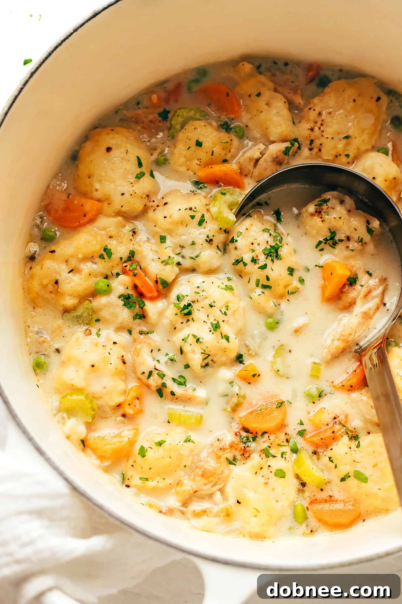 chicken and dumplings