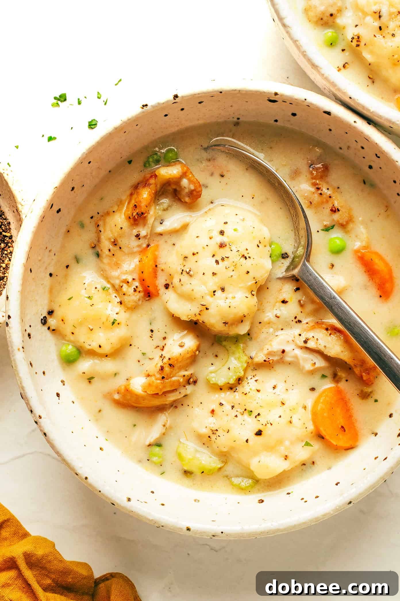 bowl of chicken and dumplings