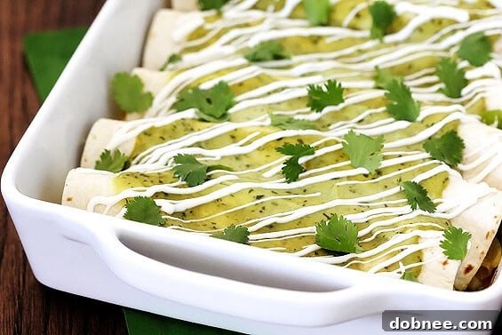 Close-up of baked Chicken & Avocado Enchiladas with a generous drizzle of green avocado cream sauce, garnished with fresh cilantro.