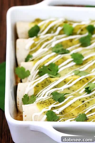 Platter of Chicken & Avocado Enchiladas, perfectly baked and garnished with fresh cilantro, ready for serving.
