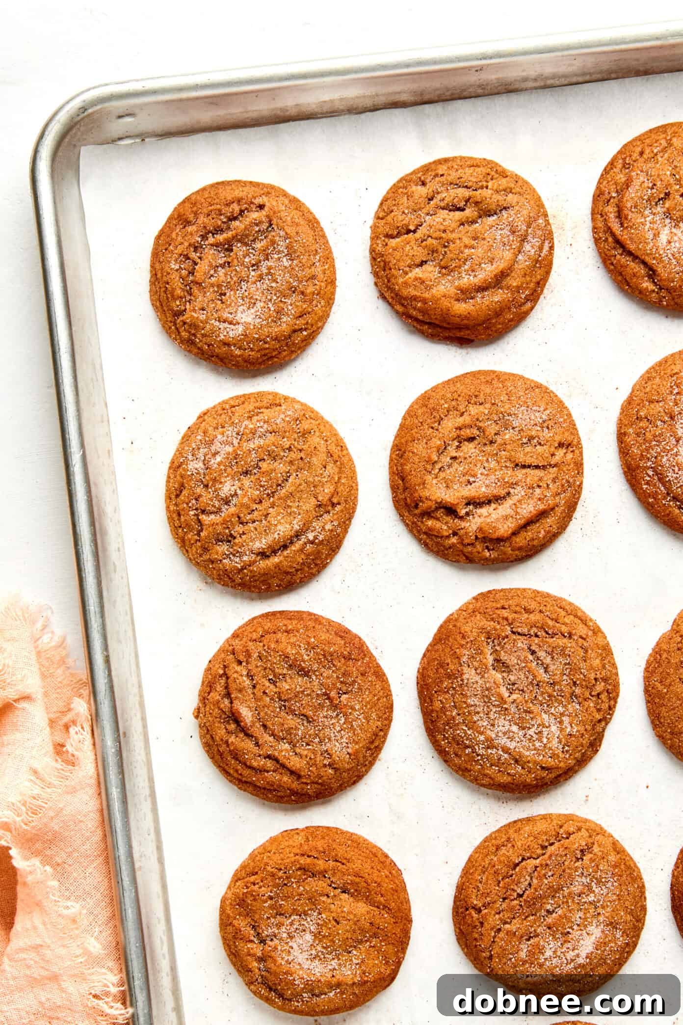 A beautifully arranged plate of chai cookies, ready to be served.