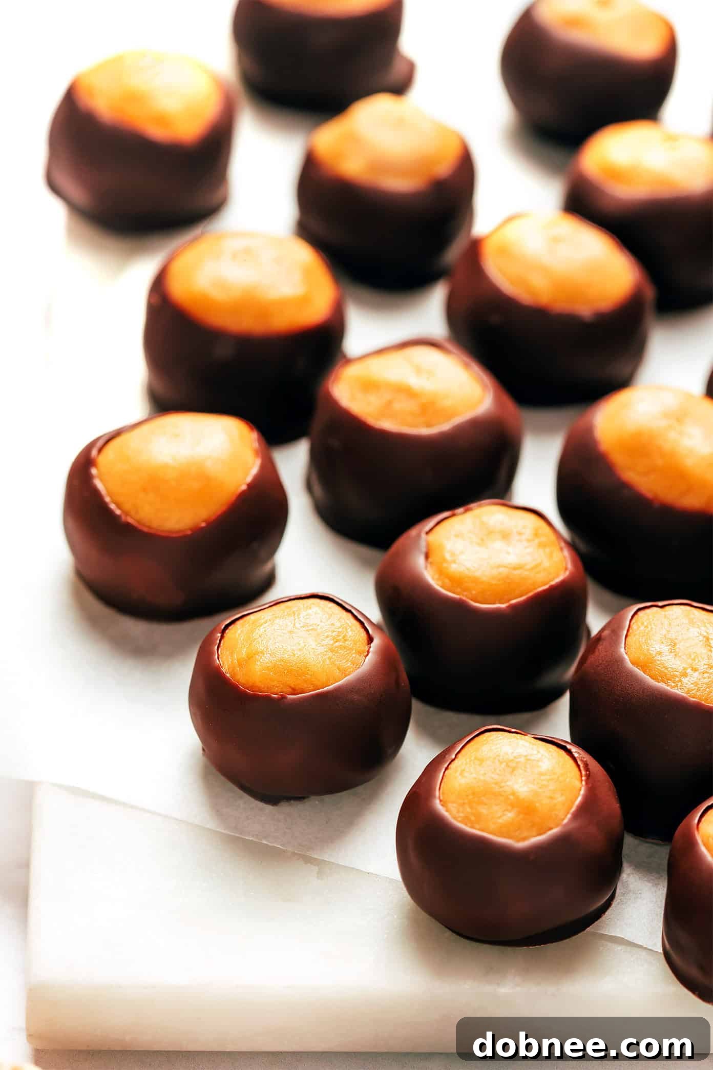 Classic Buckeyes, rich chocolate-covered peanut butter balls, a beloved no-bake treat perfect for any occasion.