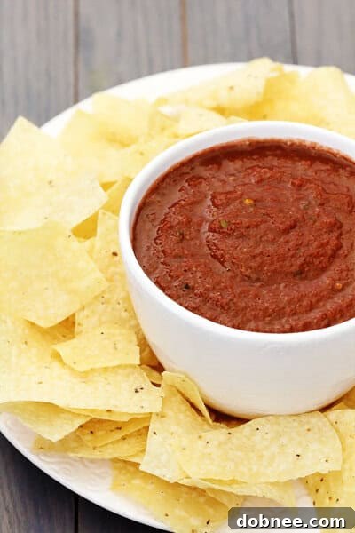 A close-up shot of the vibrant Cocoa Chipotle Salsa in a bowl, garnished with a sprig of fresh cilantro, showcasing its rich texture.
