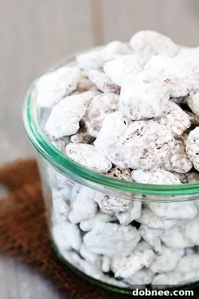 Close-up of Biscoff Puppy Chow showing the crunchy cereal coated in a sweet mixture and powdered sugar.