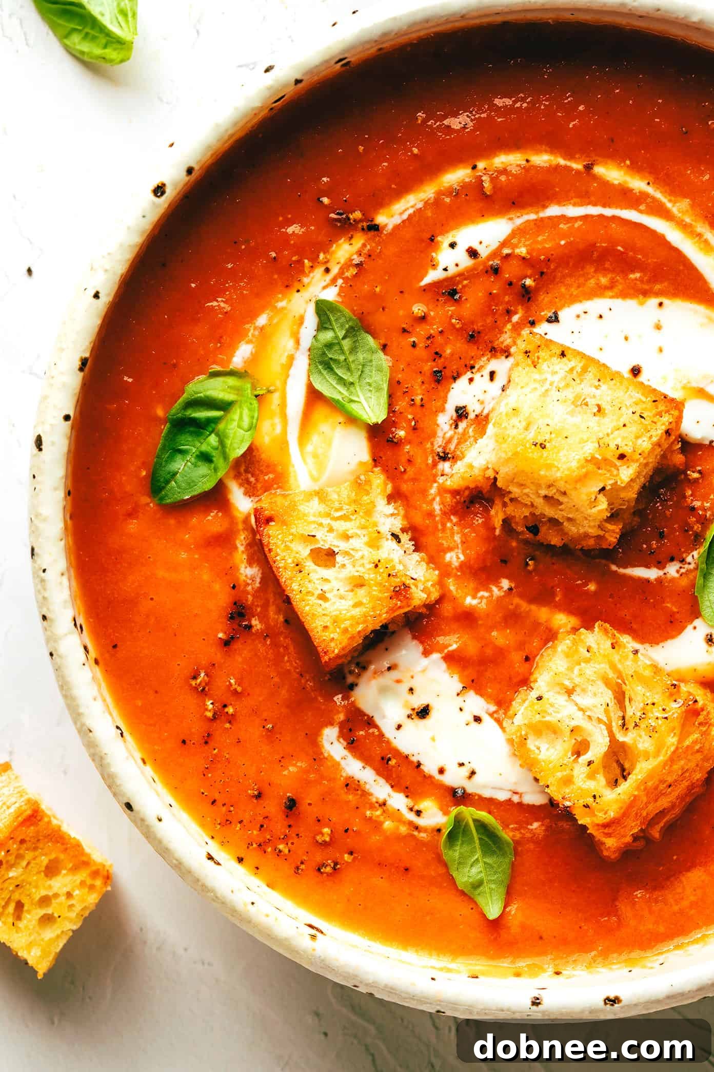 Roasted Tomato Soup with Cream, Basil, and Croutons