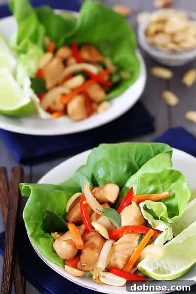 Close-up of Thai Basil Chicken Lettuce Wraps