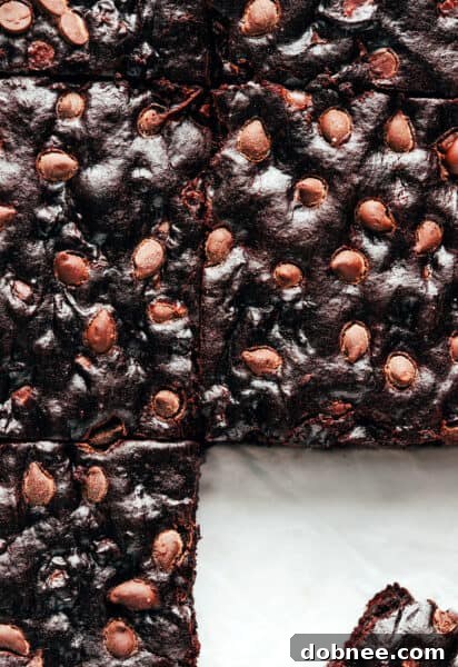 Fudgy vegan brownies on a cooling rack, freshly baked and topped with chocolate chips.