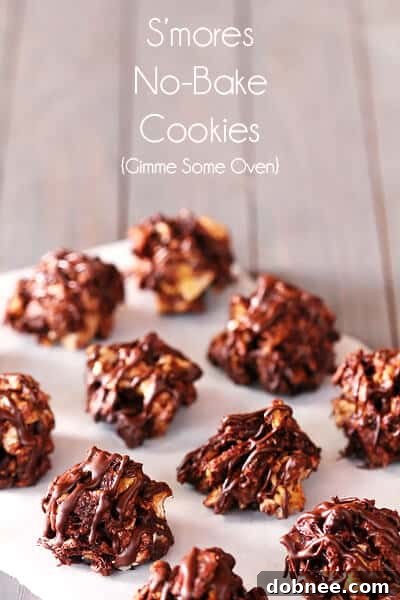 Close-up of S'mores No-Bake Cookies with a chocolate drizzle.