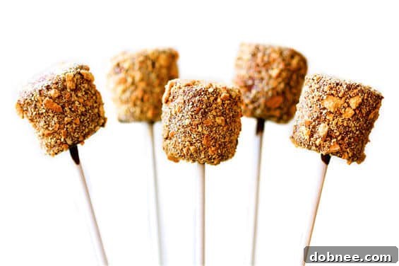 Close-up of S'mores Pops on a serving tray.