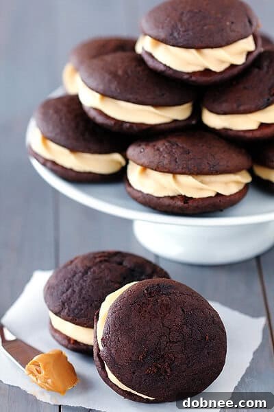 Chocolate Biscoff Whoopie Pies