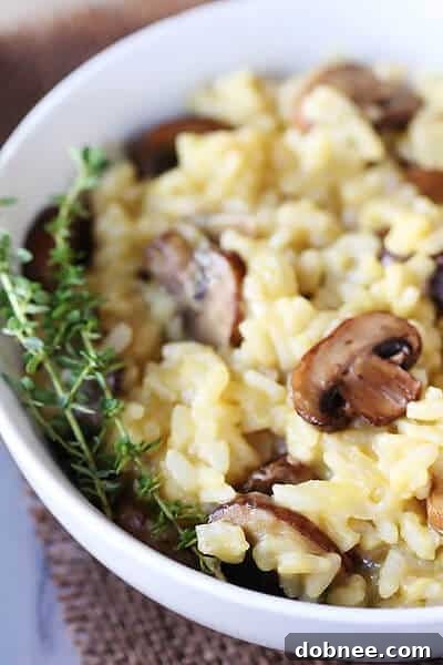 Creamy Mushroom Risotto – A Delightful Homage A close-up of a creamy bowl of Mushroom Risotto, showcasing the rich texture and visible mushrooms.