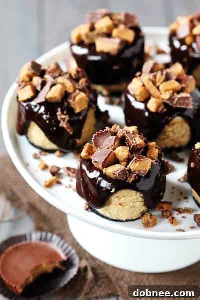 Close-up of a Reese's Peanut Butter Chocolate Mini Cheesecake, showcasing its dark chocolate ganache and crumbled Reese's topping.