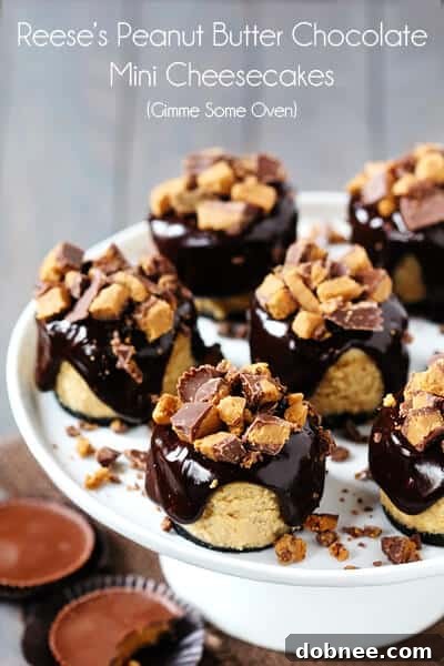 A plate of Reese's Peanut Butter Chocolate Mini Cheesecakes, ready to be enjoyed as a delightful dessert.