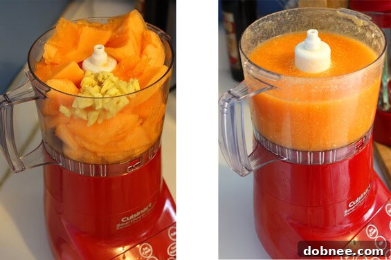 cantaloupe-and-ginger