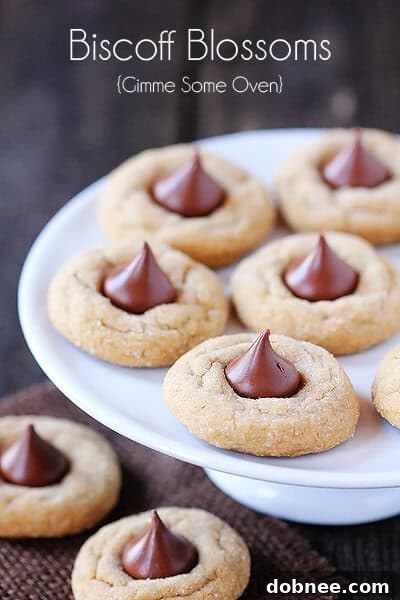 Close-up of a single Biscoff Blossom cookie, showing its soft texture and perfectly melted chocolate kiss.