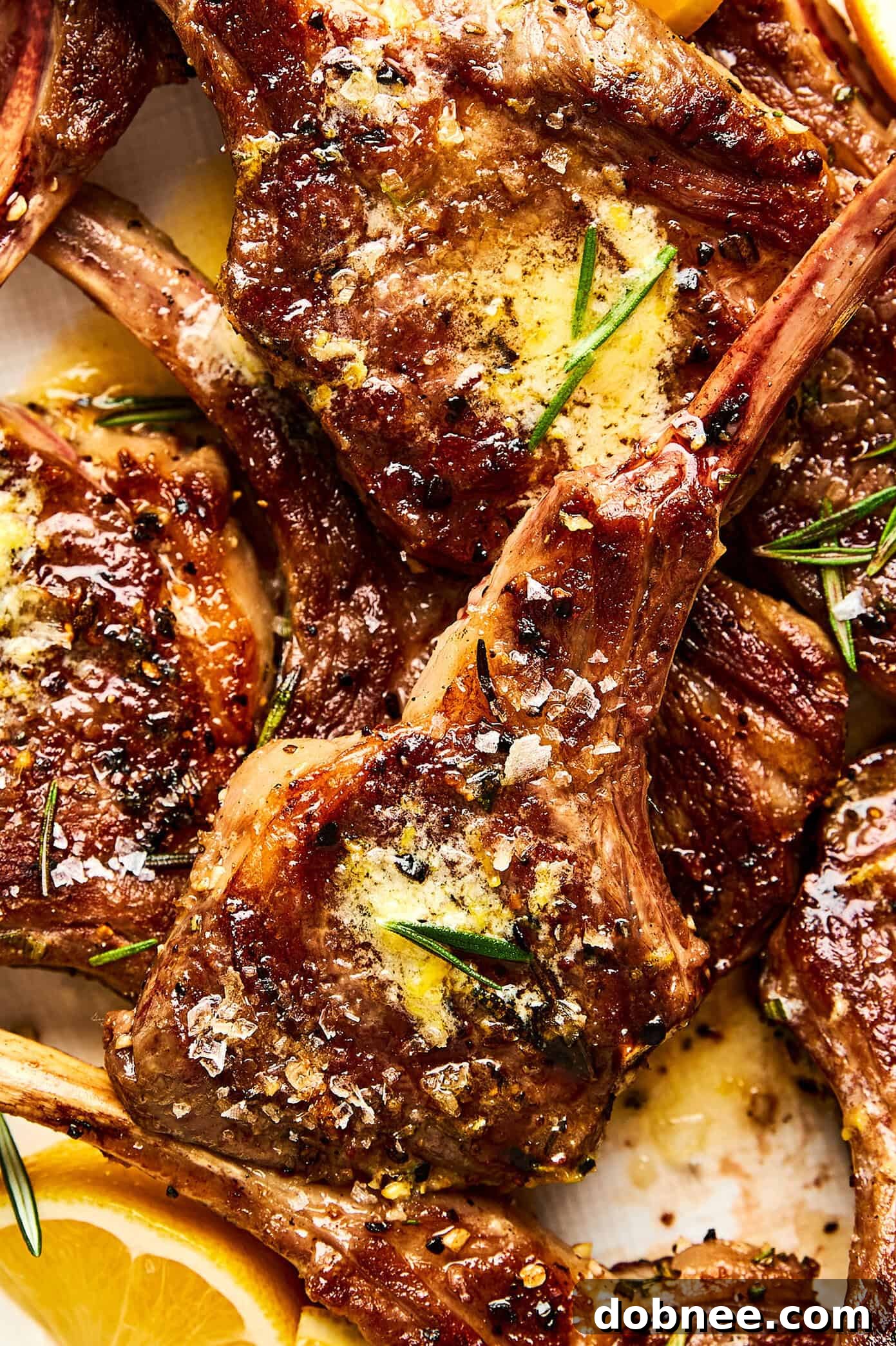 A close-up of a perfectly grilled lamb chop
