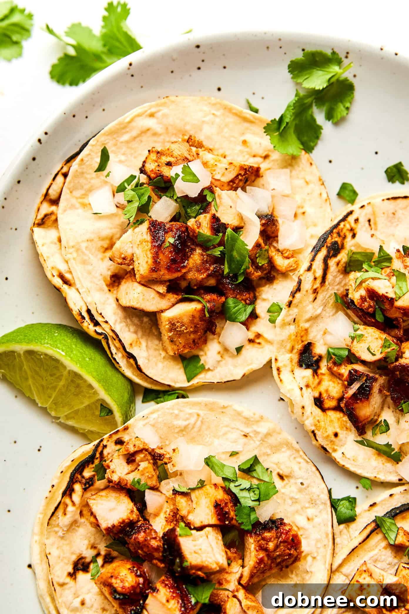 A final close-up of the finished Chipotle Chicken, showcasing its inviting texture and deep color.