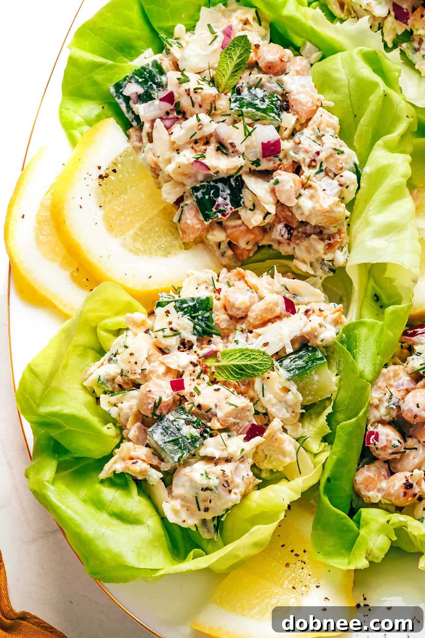 Tzatziki Chicken Salad Recipe with Fresh Cucumbers & Dill 7 img 102112 6